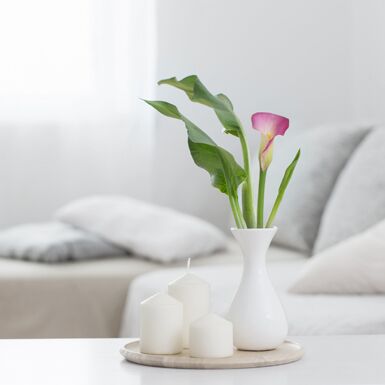 Deko-Workshop: Stimmiges Arrangement