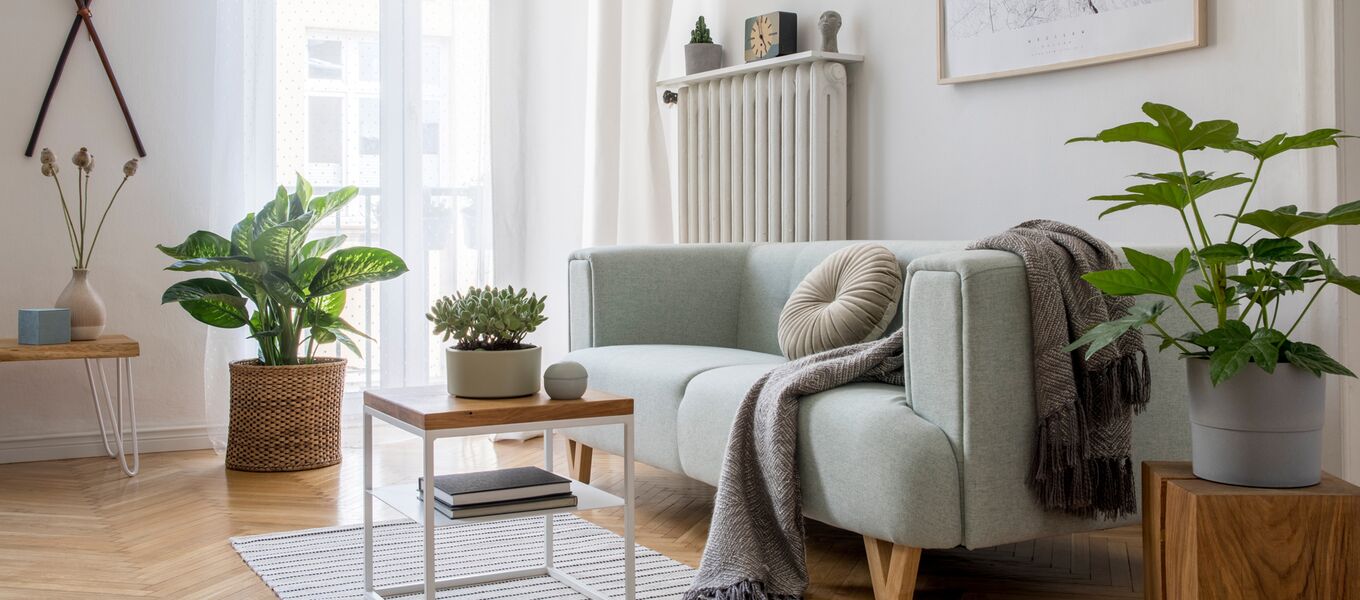 Wohlfühlzuhause dank Wohnpsychologie, biophilem Design und ganzheitlicher Gestaltung