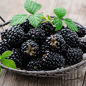 So wirkt die Farbe Schwarz auf Menschen und Räume