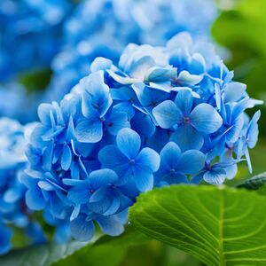 So wirkt die Farbe Blau auf Menschen und Räume