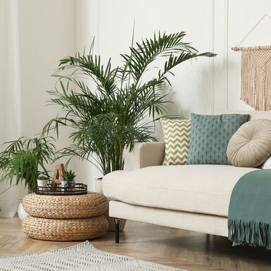 Natürlich einrichten ohne Öko-Look